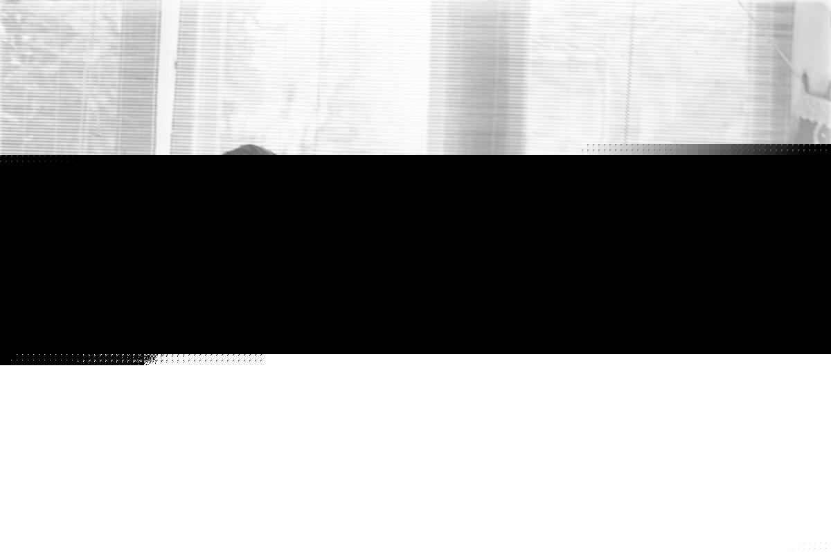 rdfa_va_b04_f17_213.jpeg